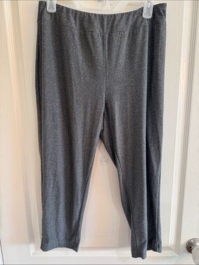 Terra & Sky Heather Gray Stretch Knit Top